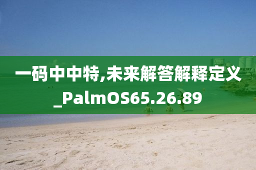 一码中中特,未来解答解释定义_PalmOS65.26.89