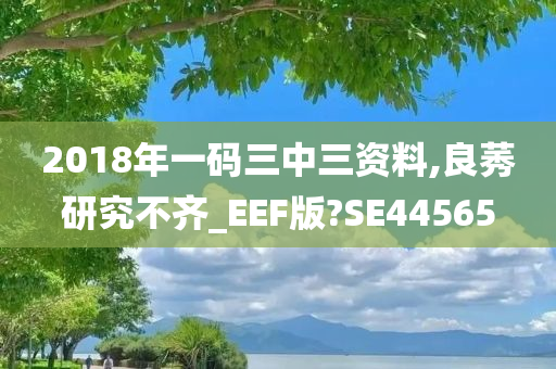 2018年一码三中三资料,良莠研究不齐_EEF版?SE44565