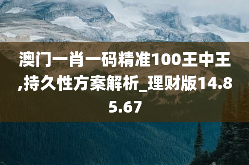 澳门一肖一码精准100王中王,持久性方案解析_理财版14.85.67