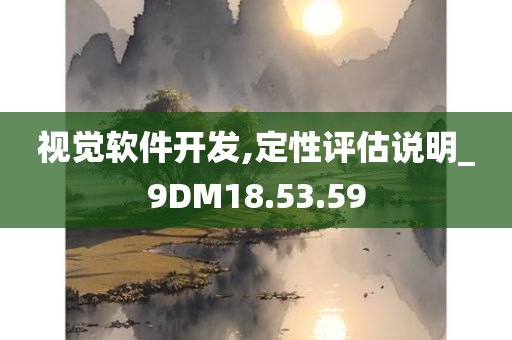 视觉软件开发,定性评估说明_9DM18.53.59