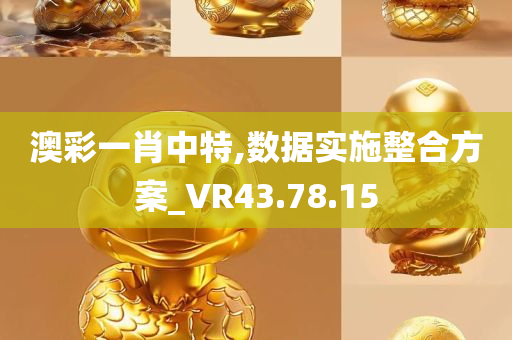 澳彩一肖中特,数据实施整合方案_VR43.78.15