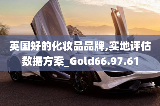 英国好的化妆品品牌,实地评估数据方案_Gold66.97.61