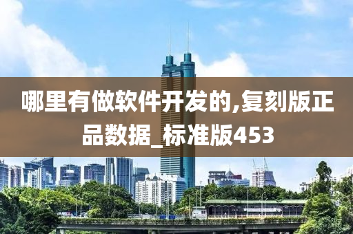 哪里有做软件开发的,复刻版正品数据_标准版453