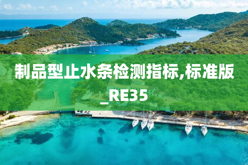 制品型止水条检测指标,标准版_RE35