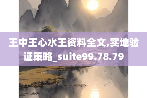 王中王心水王资料全文,实地验证策略_suite99.78.79