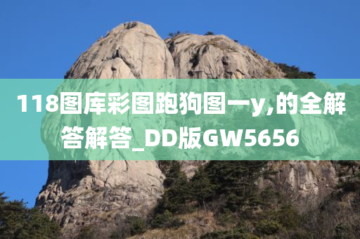 118图库彩图跑狗图一y,的全解答解答_DD版GW5656