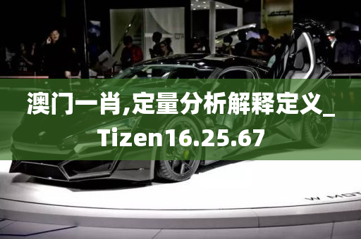 澳门一肖,定量分析解释定义_Tizen16.25.67