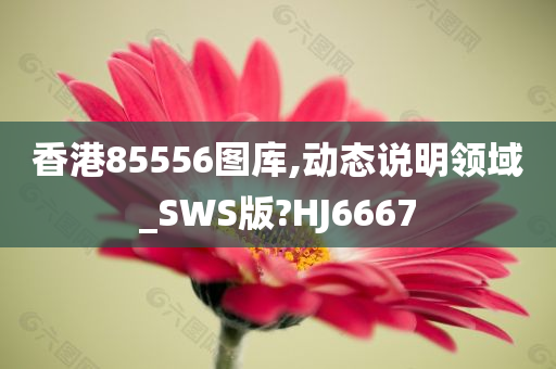 香港85556图库,动态说明领域_SWS版?HJ6667