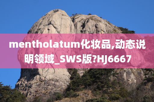 mentholatum化妆品,动态说明领域_SWS版?HJ6667