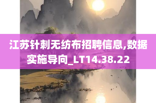 江苏针刺无纺布招聘信息,数据实施导向_LT14.38.22