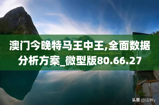 澳门今晚特马王中王,全面数据分析方案_微型版80.66.27