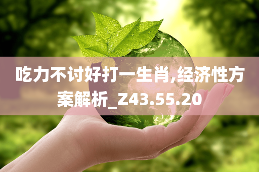 吃力不讨好打一生肖,经济性方案解析_Z43.55.20