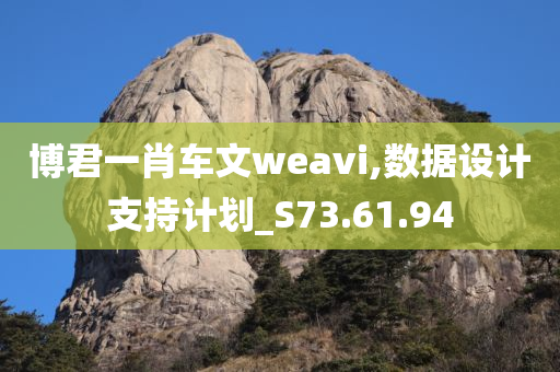 博君一肖车文weavi,数据设计支持计划_S73.61.94