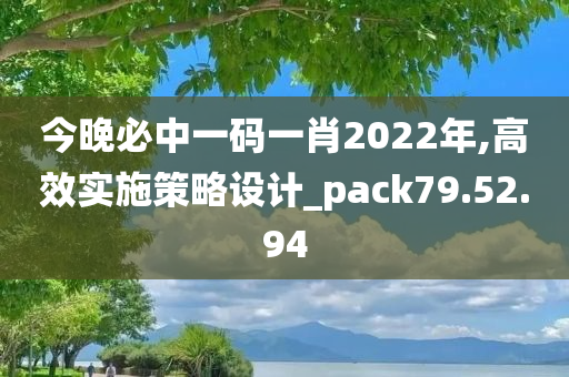 今晚必中一码一肖2022年,高效实施策略设计_pack79.52.94