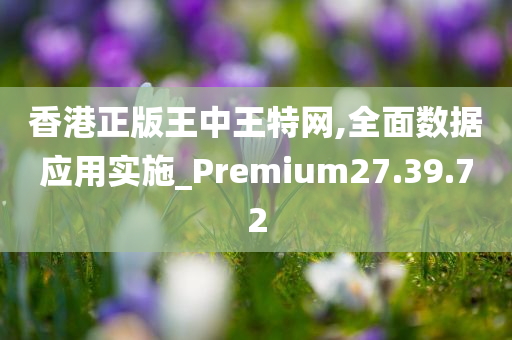 香港正版王中王特网,全面数据应用实施_Premium27.39.72