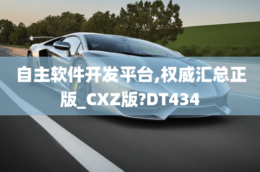 自主软件开发平台,权威汇总正版_CXZ版?DT434