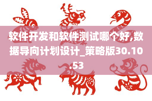 软件开发和软件测试哪个好,数据导向计划设计_策略版30.10.53