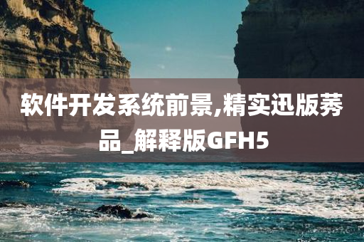 软件开发系统前景,精实迅版莠品_解释版GFH5