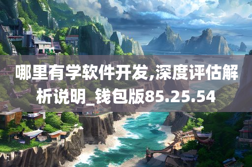 哪里有学软件开发,深度评估解析说明_钱包版85.25.54