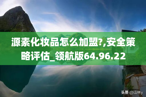 源素化妆品怎么加盟?,安全策略评估_领航版64.96.22