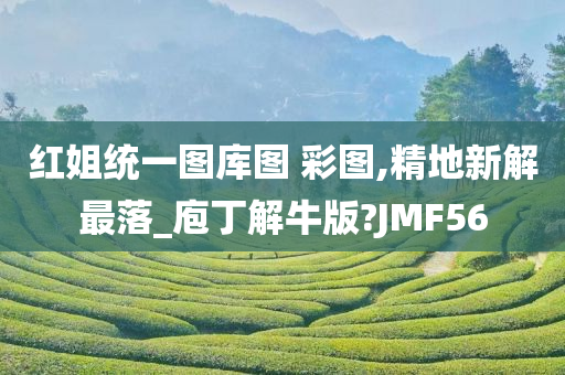 红姐统一图库图 彩图,精地新解最落_庖丁解牛版?JMF56