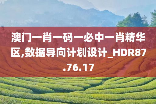 澳门一肖一码一必中一肖精华区,数据导向计划设计_HDR87.76.17