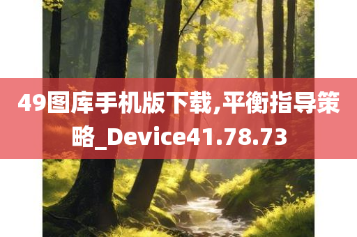 49图库手机版下载,平衡指导策略_Device41.78.73