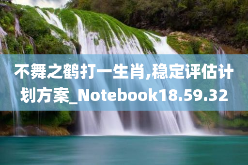 不舞之鹤打一生肖,稳定评估计划方案_Notebook18.59.32