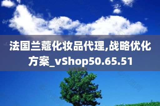 法国兰蔻化妆品代理,战略优化方案_vShop50.65.51