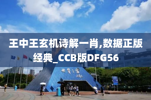 王中王玄机诗解一肖,数据正版经典_CCB版DFG56