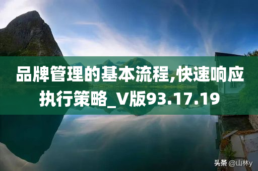 品牌管理的基本流程,快速响应执行策略_V版93.17.19