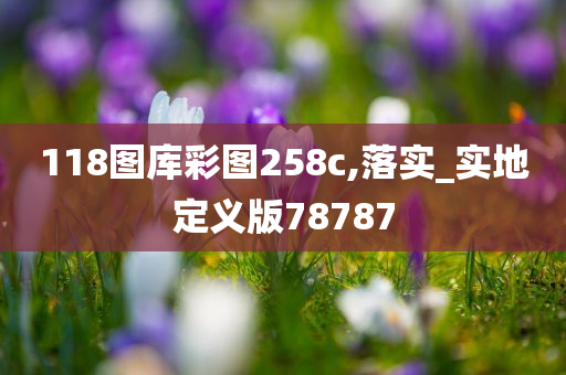 118图库彩图258c,落实_实地定义版78787