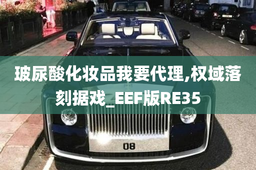 玻尿酸化妆品我要代理,权域落刻据戏_EEF版RE35