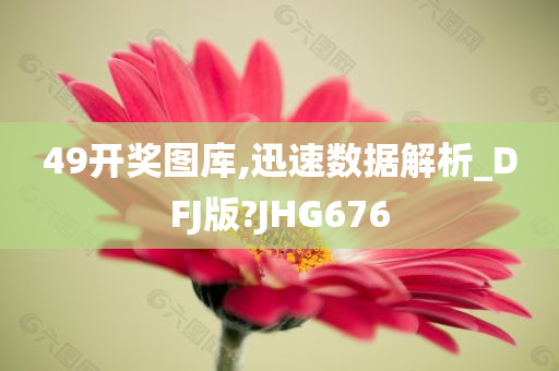 49开奖图库,迅速数据解析_DFJ版?JHG676