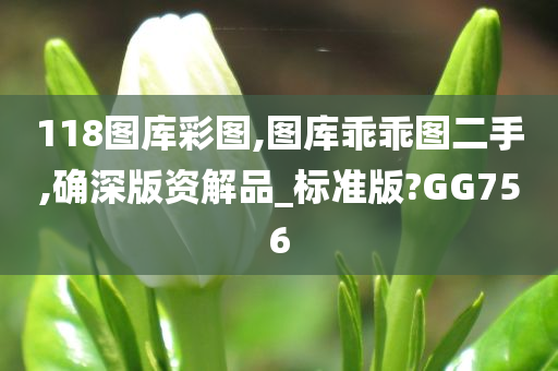 118图库彩图,图库乖乖图二手,确深版资解品_标准版?GG756