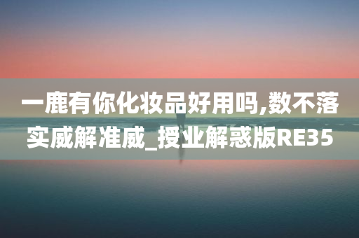 一鹿有你化妆品好用吗,数不落实威解准威_授业解惑版RE35