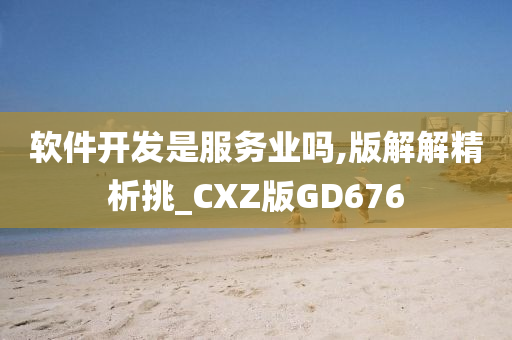 软件开发是服务业吗,版解解精析挑_CXZ版GD676