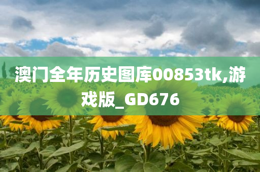 澳门全年历史图库00853tk,游戏版_GD676