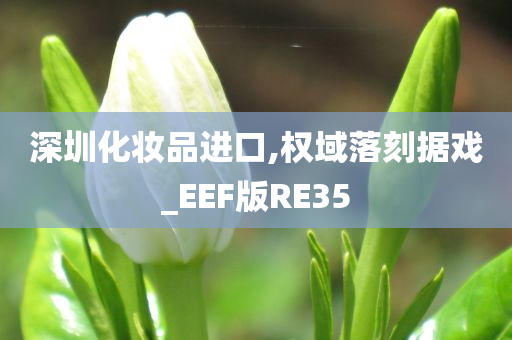 深圳化妆品进口,权域落刻据戏_EEF版RE35