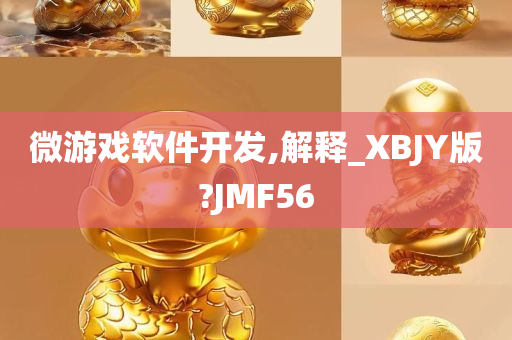 微游戏软件开发,解释_XBJY版?JMF56