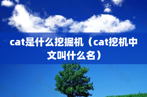 cat是什么挖掘机（cat挖机中文叫什么名）