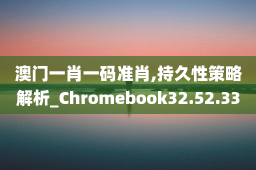 澳门一肖一码准肖,持久性策略解析_Chromebook32.52.33