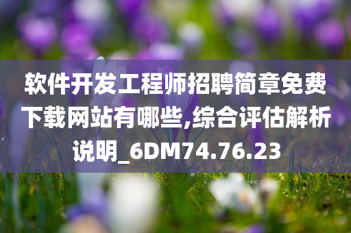 软件开发工程师招聘简章免费下载网站有哪些,综合评估解析说明_6DM74.76.23