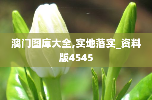 澳门图库大全,实地落实_资料版4545