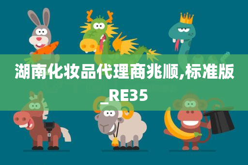 湖南化妆品代理商兆顺,标准版_RE35