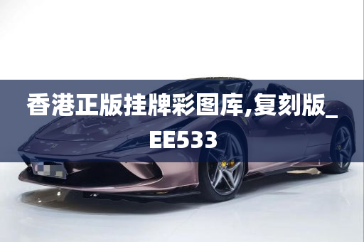 香港正版挂牌彩图库,复刻版_EE533