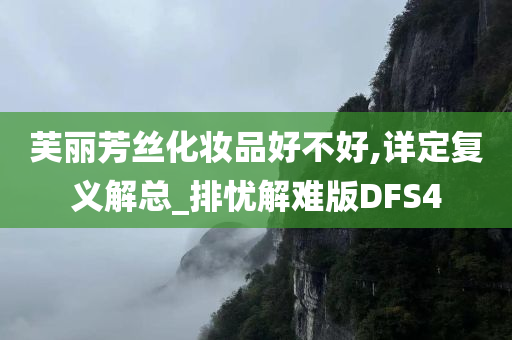 芙丽芳丝化妆品好不好,详定复义解总_排忧解难版DFS4