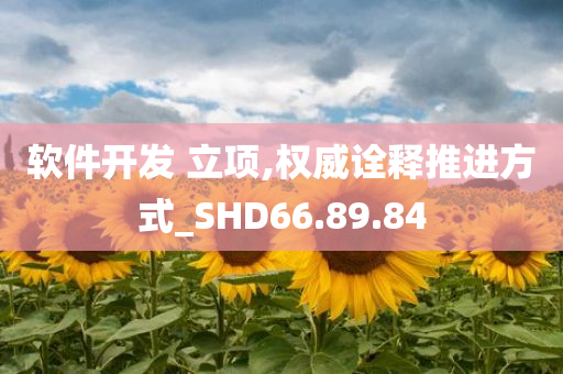 软件开发 立项,权威诠释推进方式_SHD66.89.84