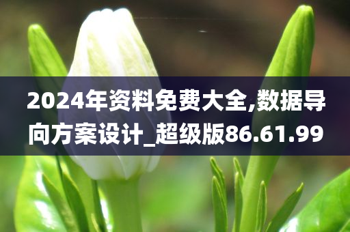 2024年资料免费大全,数据导向方案设计_超级版86.61.99