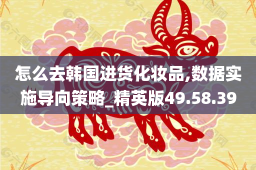 怎么去韩国进货化妆品,数据实施导向策略_精英版49.58.39